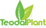 Teodal Plant - magazin online de produse naturiste